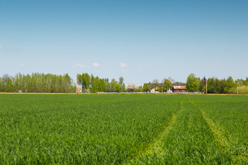 Scenery in the area around Bramki, a village in the administrative district of Gmina Błonie, within Warsaw West County, in east-central Poland
