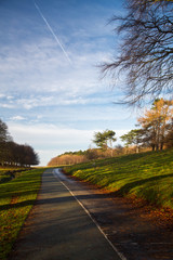 Fototapeta premium A pathway in the War Memorial Gardens in Dublin, Ireland 
