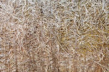 Dry straw closeup texture. Farming background