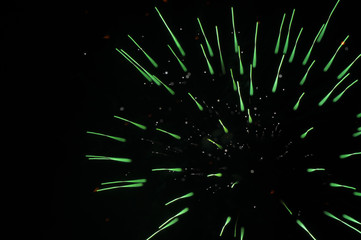 Green Single Fireworks Explosion