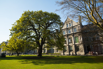Fototapeta na wymiar The grounds in Trinity College, Dublin, Ireland 