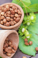 hazelnut on a wooden background outdoors