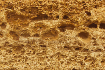 Limestone background close up (marine stone)