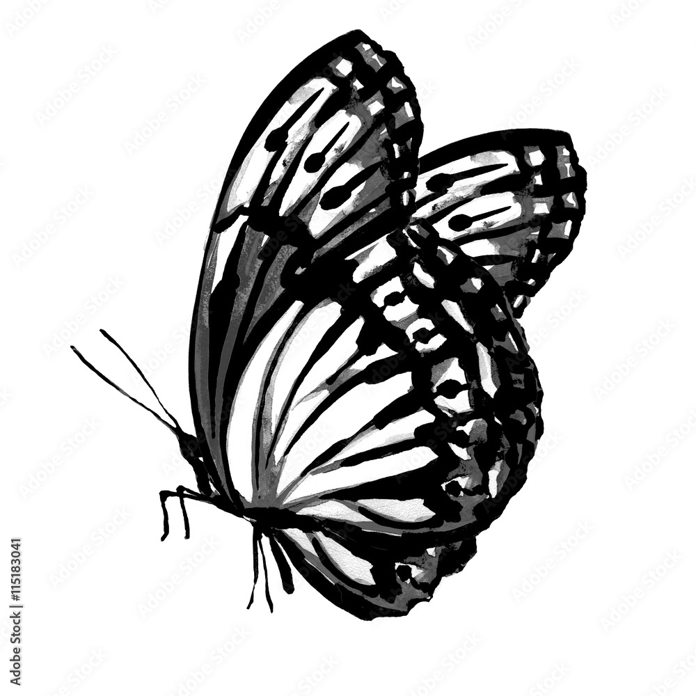 Sticker butterflies design