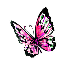 butterflies design