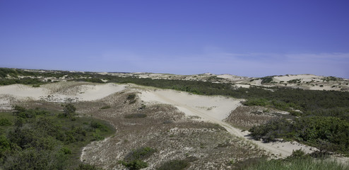 Protected dunes in the National Seashore at Provincetown, MA Cape Cod.