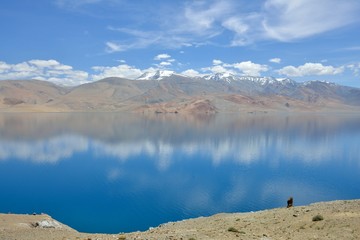 See Tso Miriri in Ladakh, Indien