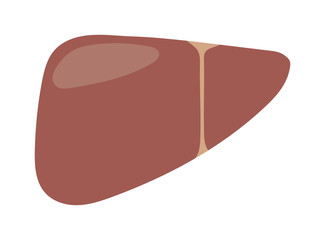 Cute healthy liver icon cartoon style. Liver cartoon human organ. Human body organs anatomy icon. Medical human internal organ symbol healthy concept vector illustration.