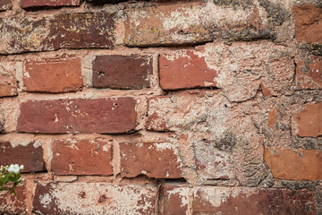 wall of old rough red brick