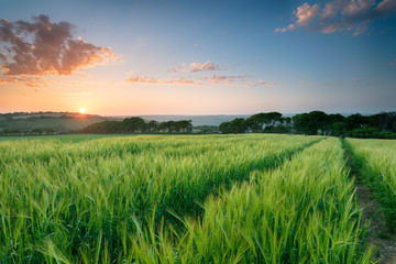 Sunset over the Cornwall Countryside