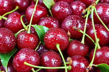 A pile of fresh fruits. Cherry fruit background