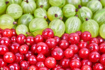 A pile of fresh fruits. Fruit background
