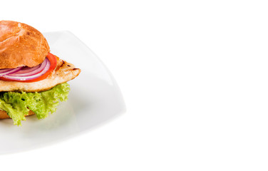 Grilled chicken sandwich with red onions isolated on white and copy space
