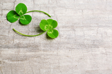 Clover leaves on gray wooden background