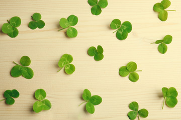 Clover leaves on wooden background