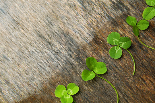 Clover leaves on wooden background