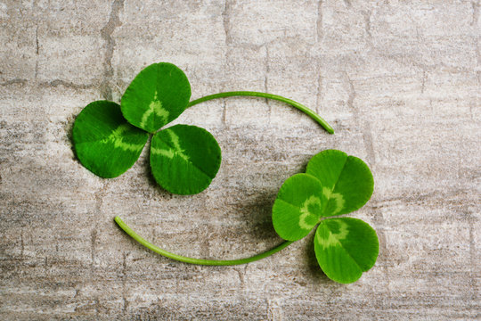 Clover leaves on gray wooden background