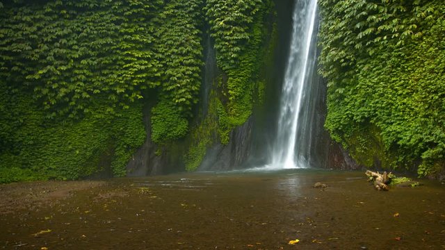 Pure stream of cool, fresh water, tumbling down a smooth, vine covered precipice onto a muddy flat below in a tropical rainforest wilderness, with sound. Video 3840x2160