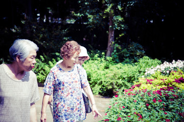 森の中を散歩している高齢者女性