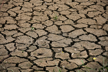 cracked ground background and empty area for text, dry ground and hot surface of ground in summer, hot ambient around cracked surface because greenhouse effected. no any life stay around the area.