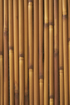Small bamboo wood texture