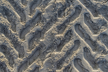 Footprints in the sand