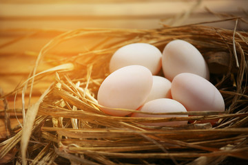 Eggs in nest on the nature or farm, Fresh eggs for cooking and material in Kitchen room, New eggs background for food magazine, Healthy food for old people or Patient which will help to refresh life.