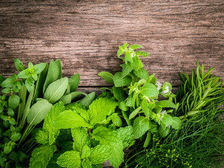 Various aromatic herbs and spices from garden  green mint ,fenne