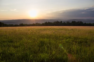 Fototapete Land Sonnenuntergang in der Graswiese