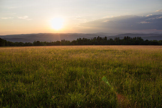 Sunset In Grassy Meadow