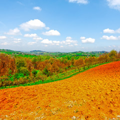 Fields and Groves