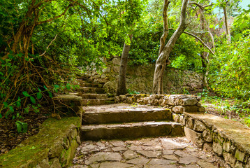 stairs in the alley