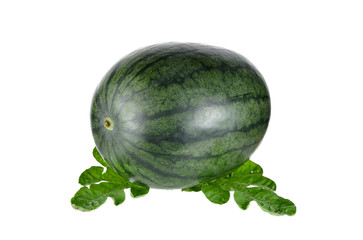 whole fresh watermelon with leaves on white background