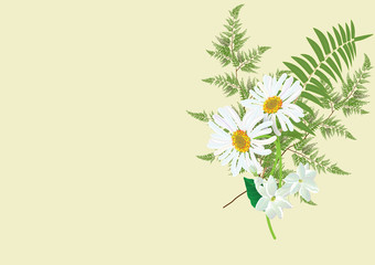 Naklejka premium jasmine bouquet with fern andi white daisy flower