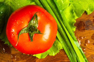 stilllife - tomatoes, cucumbers, green garlic and lettuce