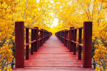 Zelfklevend Fotobehang houten brug en herfstbos. © 24Novembers