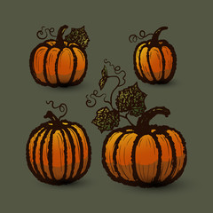 Pumpkins collection/Ink hand drawn pumpkins set/Vector pumpkins