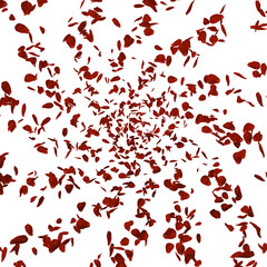 Red Rose Petals in Air