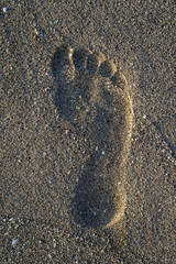 footprint on the sand