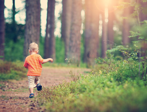 Little boy walking in the forest