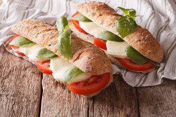 Italian sandwiches with fresh tomatoes, mozzarella cheese and basil. horizontal
