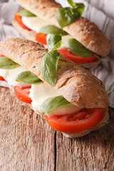 Two Italian sandwich with tomatoes, mozzarella and basil close-up. Vertical
