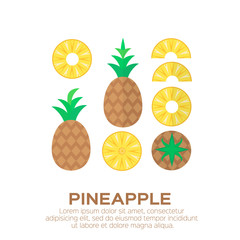 Summer set of pineapple with leaf. Tropical fruit isolated on white background. Symbol of food, sweet, exotic and vitamin, healthy. Vector illustration