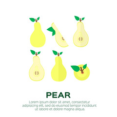 Summer set of pear with leaf. Whole and cut yellow pears. Symbol of food, sweet and vitamin, healthy. Vector illustration