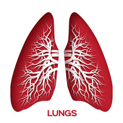 Lungs origami. Red Paper cut  Human Lungs anatomy with bronchial tree. Applique Vector design illustration.