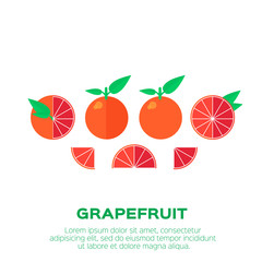 Summer set of Grapefruit. Whole and cut half healthy grapefruits. Vector illustration