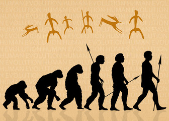Human evolution