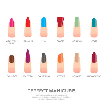 Different colorful nail shapes. Woman fingers. Fingernails fashion trends. Vector design illustration