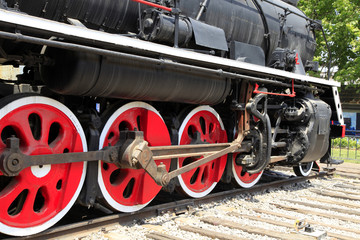 Naklejka premium The train