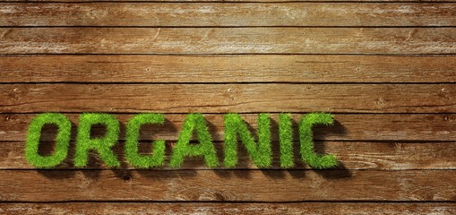 Organic made of grass on wood background